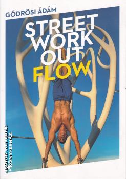 Gödrösi Ádám - Street workout flow