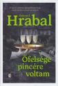 Bohumil Hrabal - felsge pincre voltam